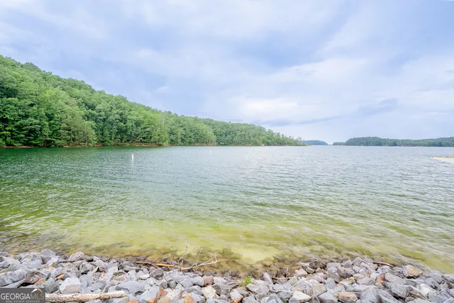 a view of a yard with an tree