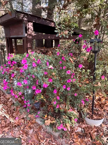 a view of a tree in front of a yard
