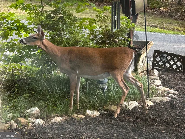 $315,000 | 12 Scott Drive, Ellijay, GA 30540