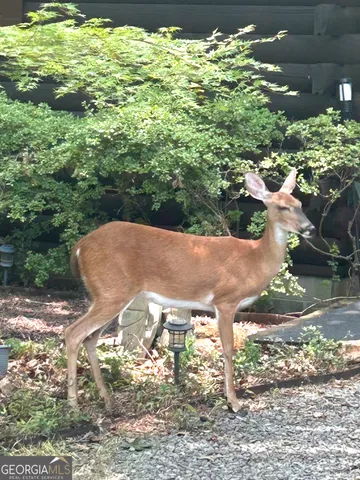 $315,000 | 12 Scott Drive, Ellijay, GA 30540