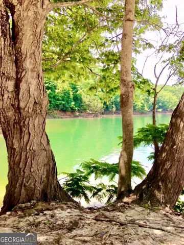 $315,000 | 12 Scott Drive, Ellijay, GA 30540