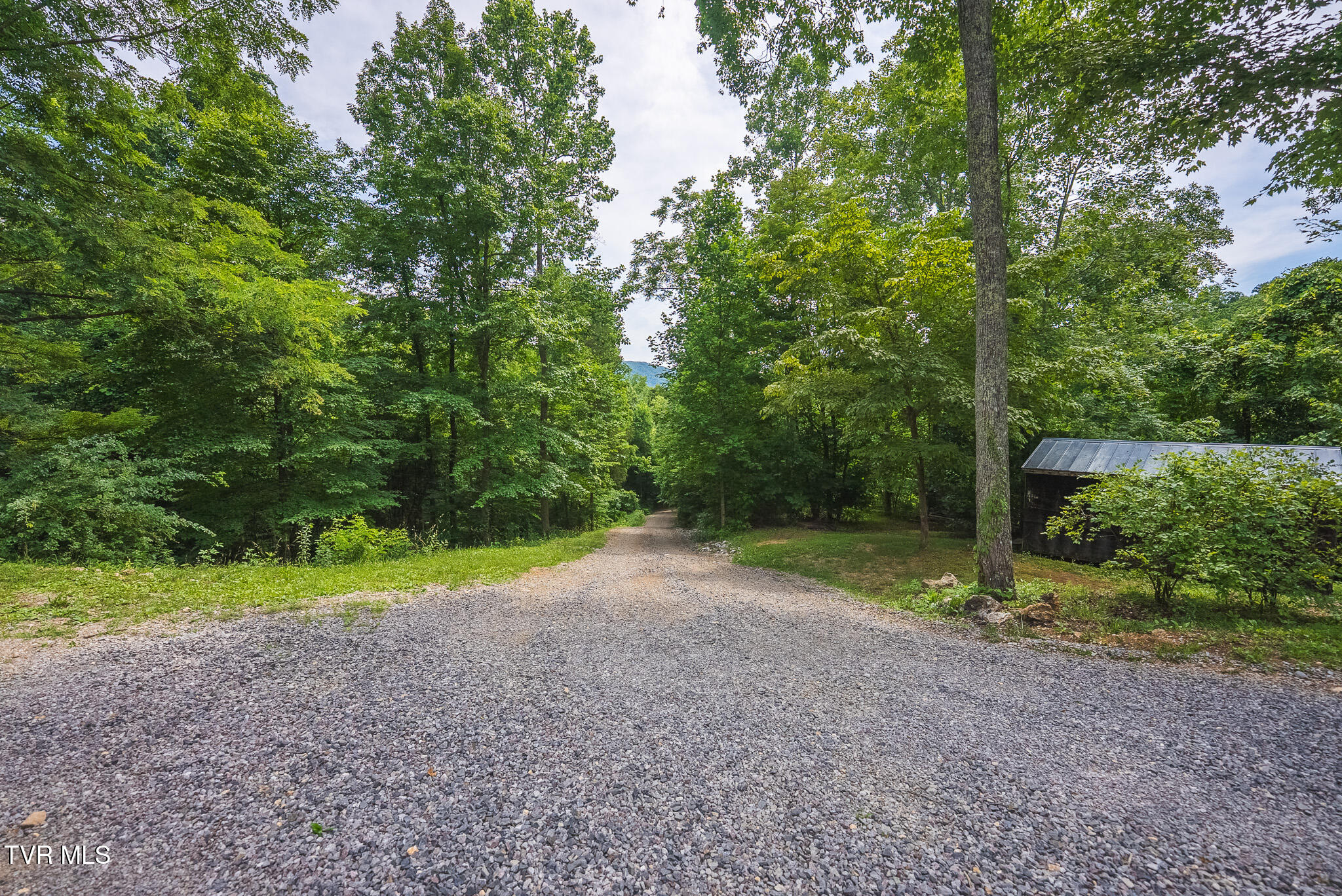 2733 Rackum Road Thorn Hill, TN 37881 - Photo 40 of 43 DSC01941