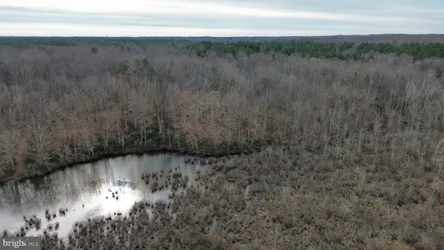 a view of a dry yard with green space