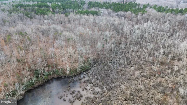 a view of a dry yard with trees