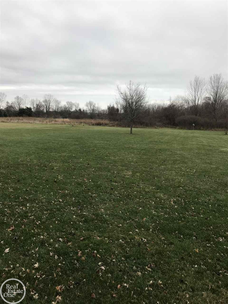 43150 Little Road Clinton Township, MI 48036 - Photo 16 of 17