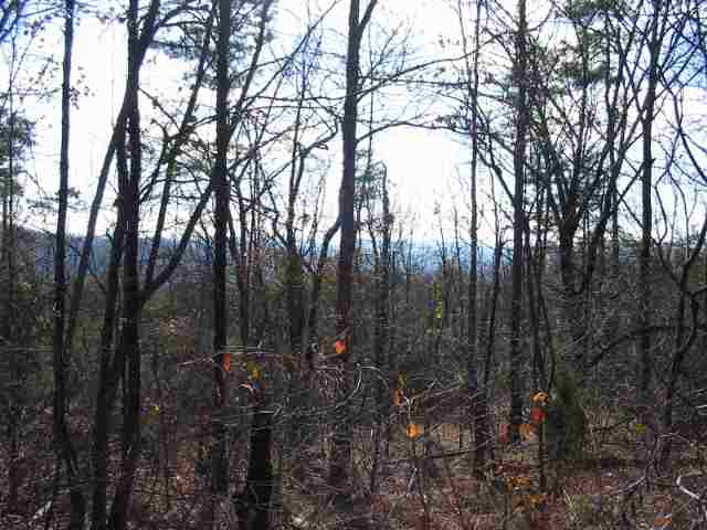 24 Rock Point, Unit LIMESTONE SPRINGS CT Pickens, SC 29671 - Photo 6 of 7 Gallery Image 6
