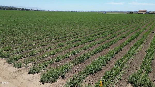 $16,995,000 | 5848 Santa Clara Avenue, Camarillo, CA 93010