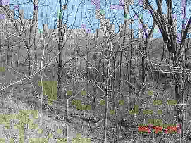 400 East Grove Street Table Grove, IL 61482 - Photo 24 of 25