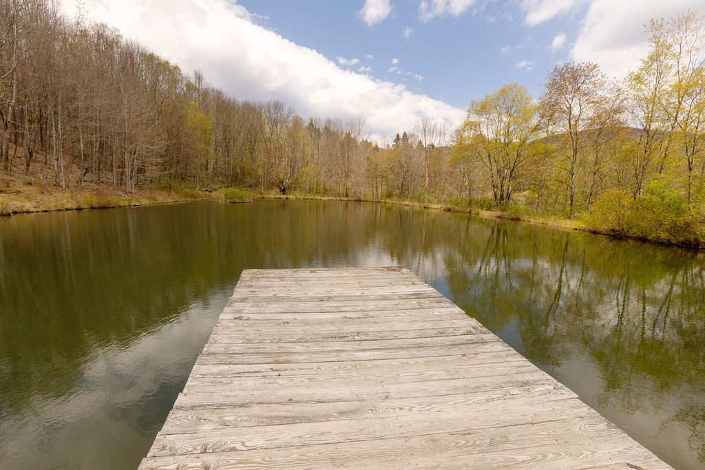 195 Oscar Dougherty Road Roxbury, NY 12459 - Photo 13 of 50