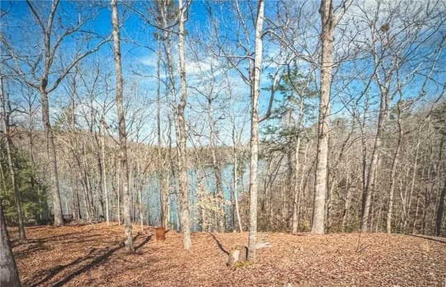 a view of wooden fence and trees