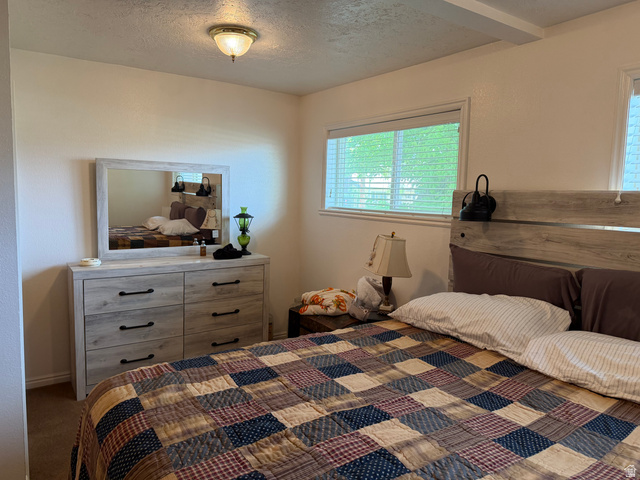 1043 East 4000th Street South Vernal, UT 84078 - Photo 18 of 31 Bright bedroom with two large windows, featuring a wood-finish headboard and a built-in ceiling light fixture