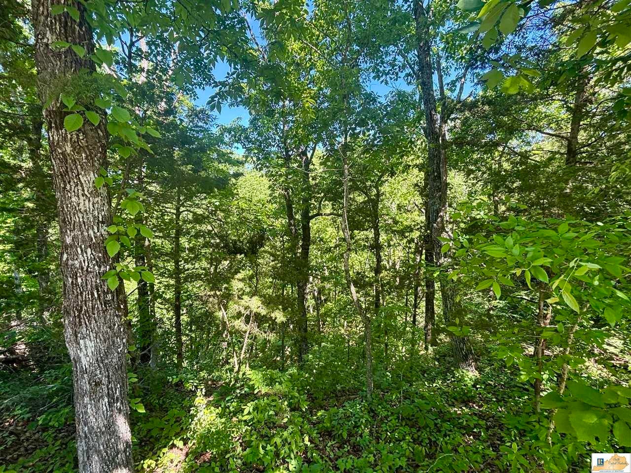 1189 Old Ky 61 Road Breeding, KY 42715 - Photo 59 of 75 Gallery Image 59