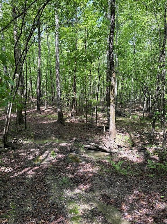 0 Roy Dean Road Buchanan, GA 30113 - Photo 10 of 24
