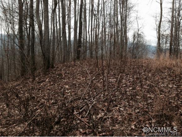 Lot 117 East Reach Road, Unit 117 Sylva, NC 28779 - Photo 1 of 22