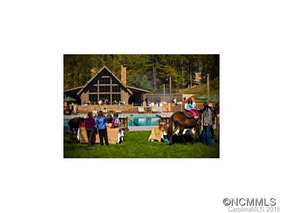 Lot 117 East Reach Road, Unit 117 Sylva, NC 28779 - Photo 2 of 22