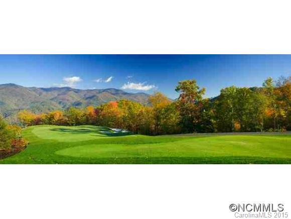 Lot 117 East Reach Road, Unit 117 Sylva, NC 28779 - Photo 13 of 22