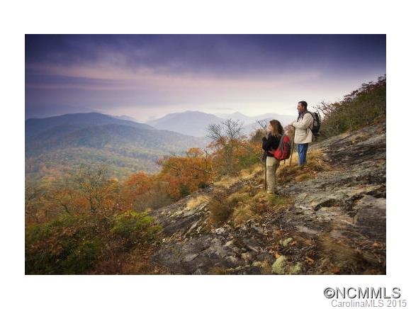 Lot 117 East Reach Road, Unit 117 Sylva, NC 28779 - Photo 16 of 22