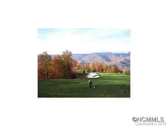 Lot 117 East Reach Road, Unit 117 Sylva, NC 28779 - Photo 4 of 22