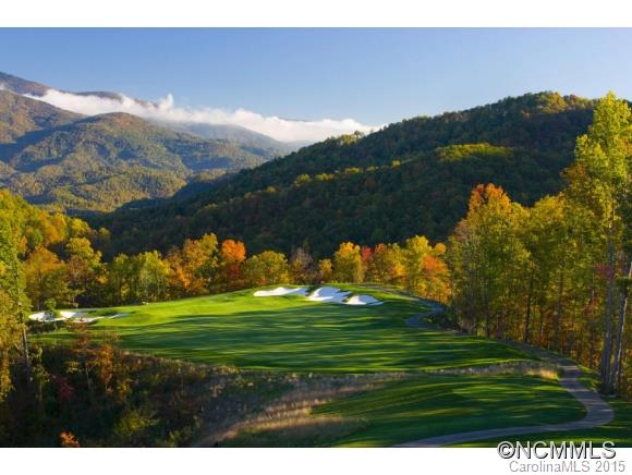 Lot 117 East Reach Road, Unit 117 Sylva, NC 28779 - Photo 5 of 22