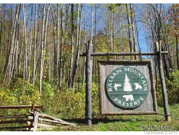 Lot 117 East Reach Road, Unit 117 Sylva, NC 28779 - Photo 10 of 22