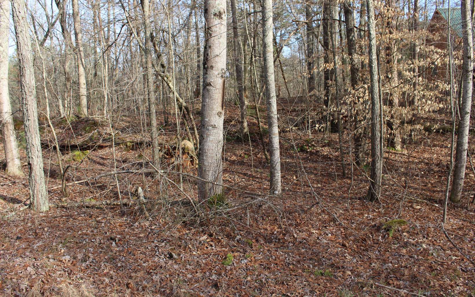 Modal Lane Ellijay, GA 30540 - Photo 1 of 1 Main View