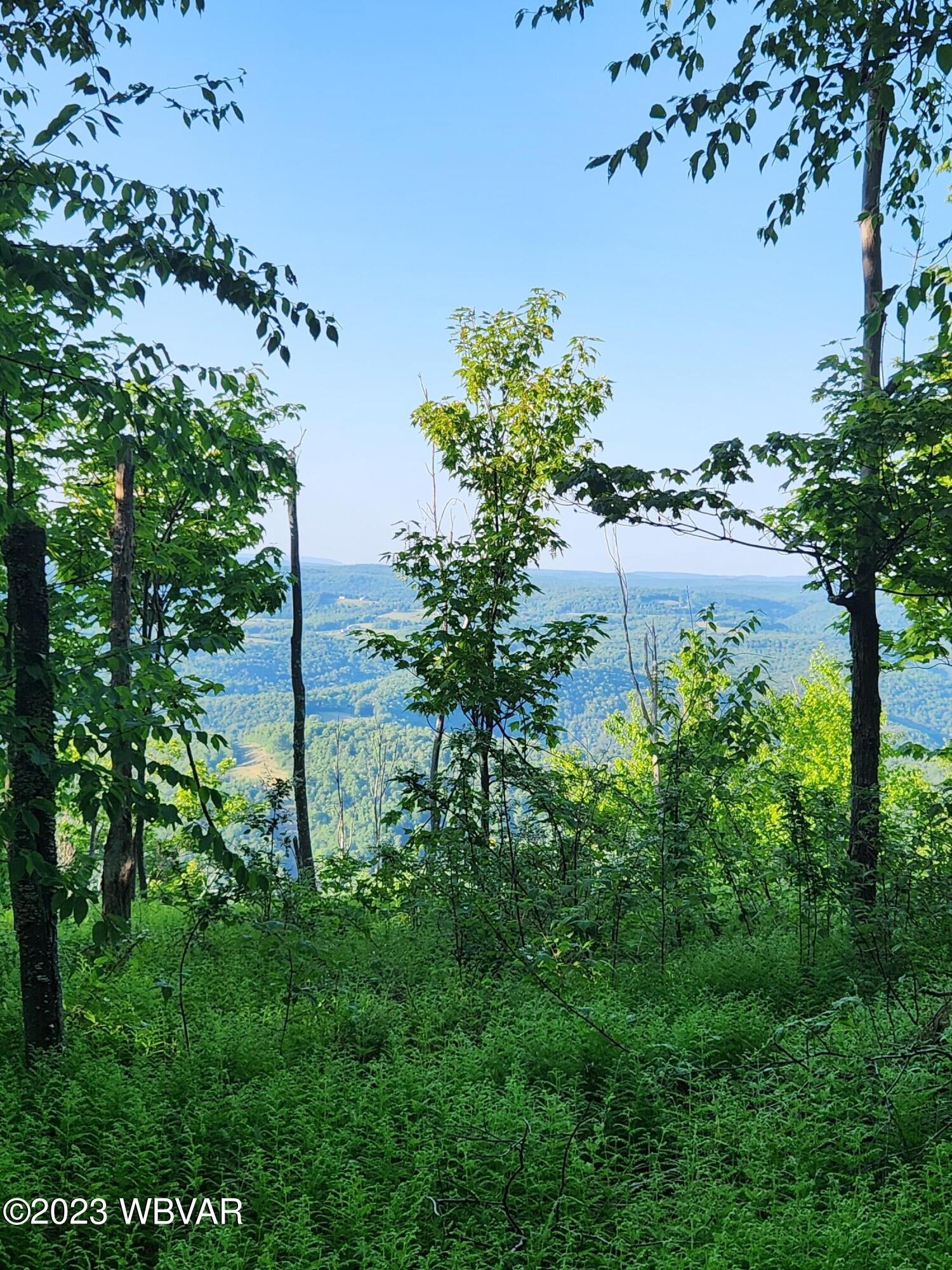 Champion Hill Road Muncy Valley, PA 17758 - Photo 3 of 19 Gallery Image 3