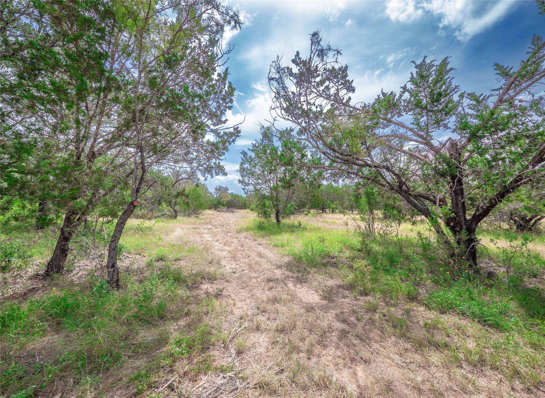 Tbd Winnie Smith Road Round Mountain, TX 78663 - Photo 18 of 30 a view of a yard with a tree