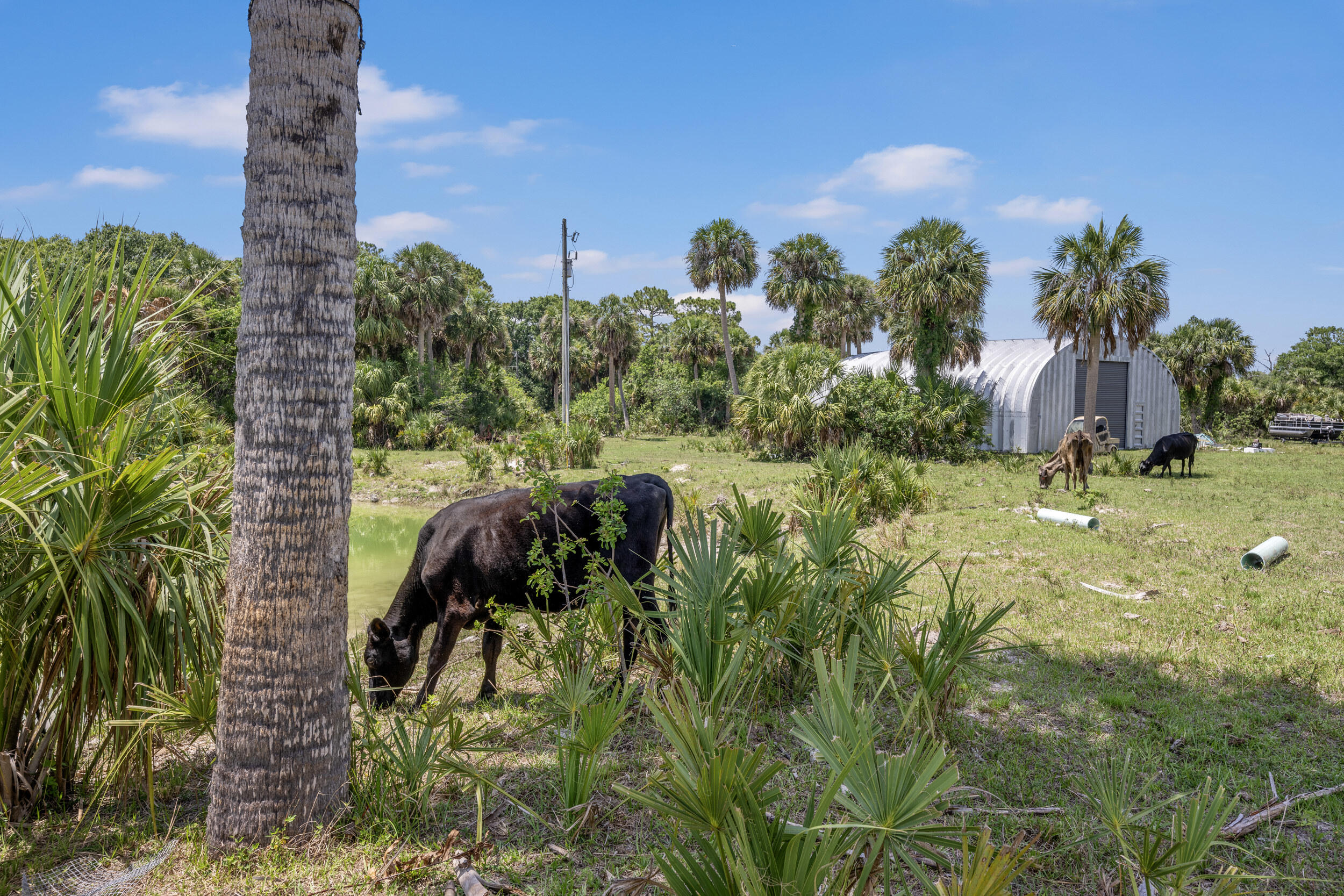 13351 Williams Road Port St. Lucie, FL 34987 - Photo 12 of 46 _jjl9114