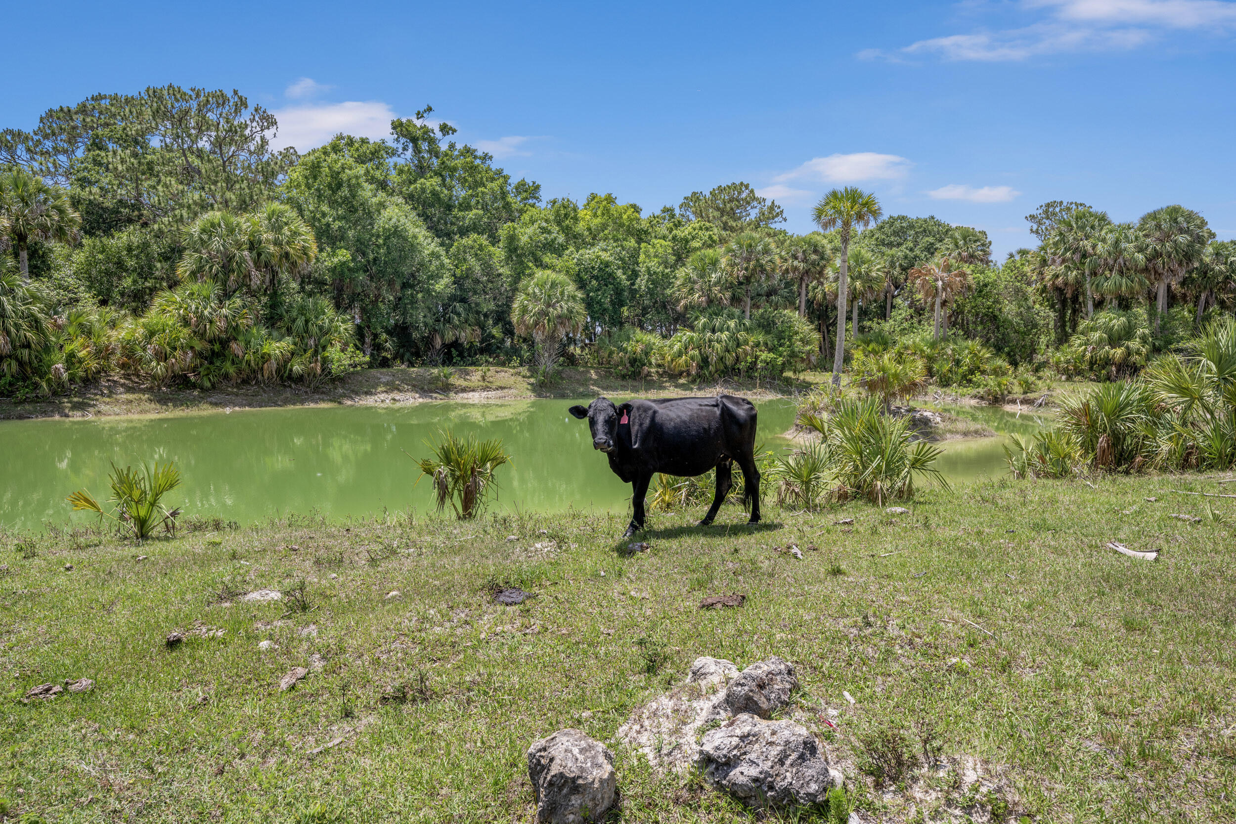 13351 Williams Road Port St. Lucie, FL 34987 - Photo 13 of 46 _jjl9109