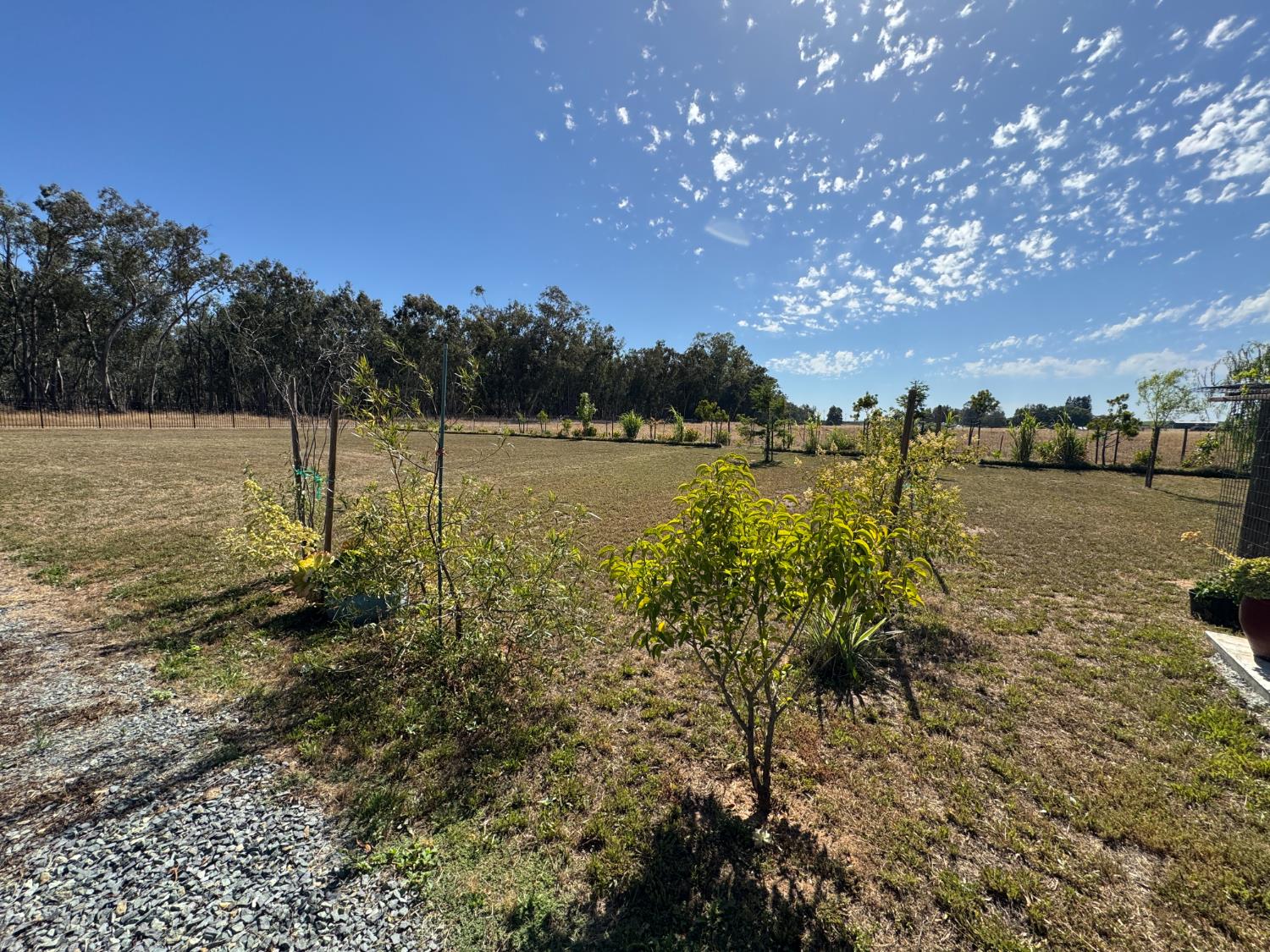 12379 Clay Station Road Herald, CA 95638 - Photo 11 of 14
