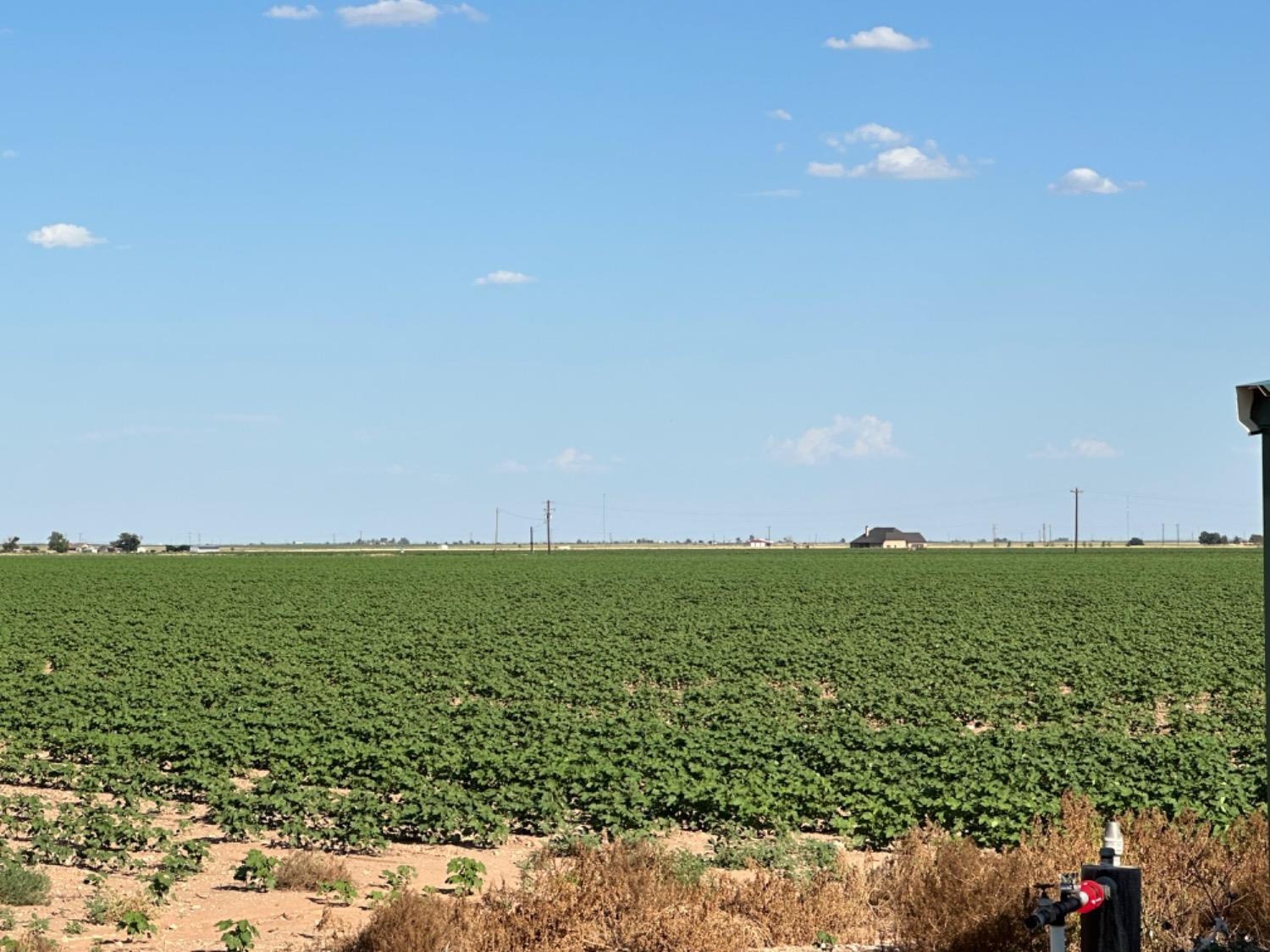 4083 Hawk Road Ropesville, TX 79358 - Photo 14 of 15 Photo 14