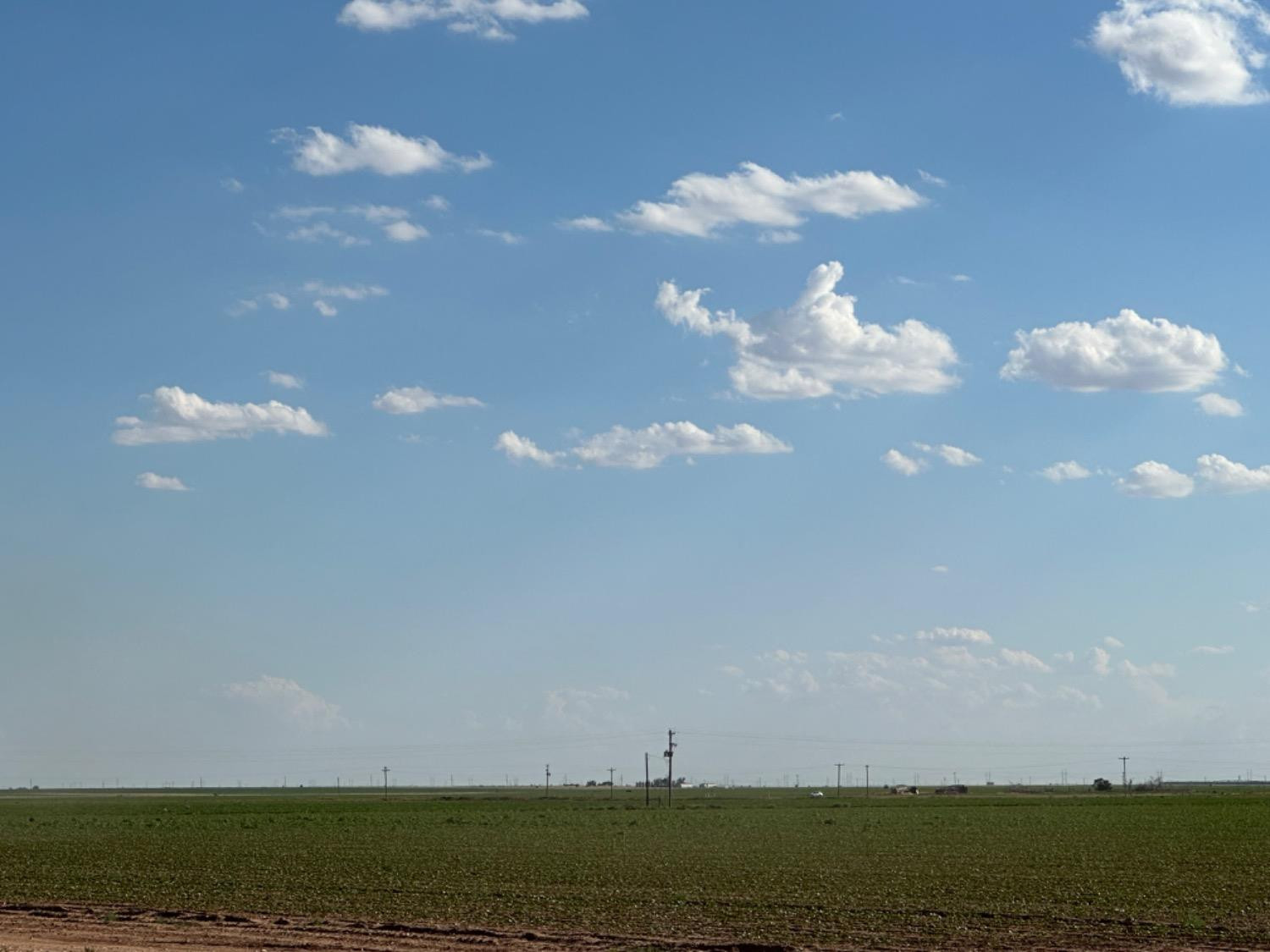 4083 Hawk Road Ropesville, TX 79358 - Photo 15 of 15 Photo 15