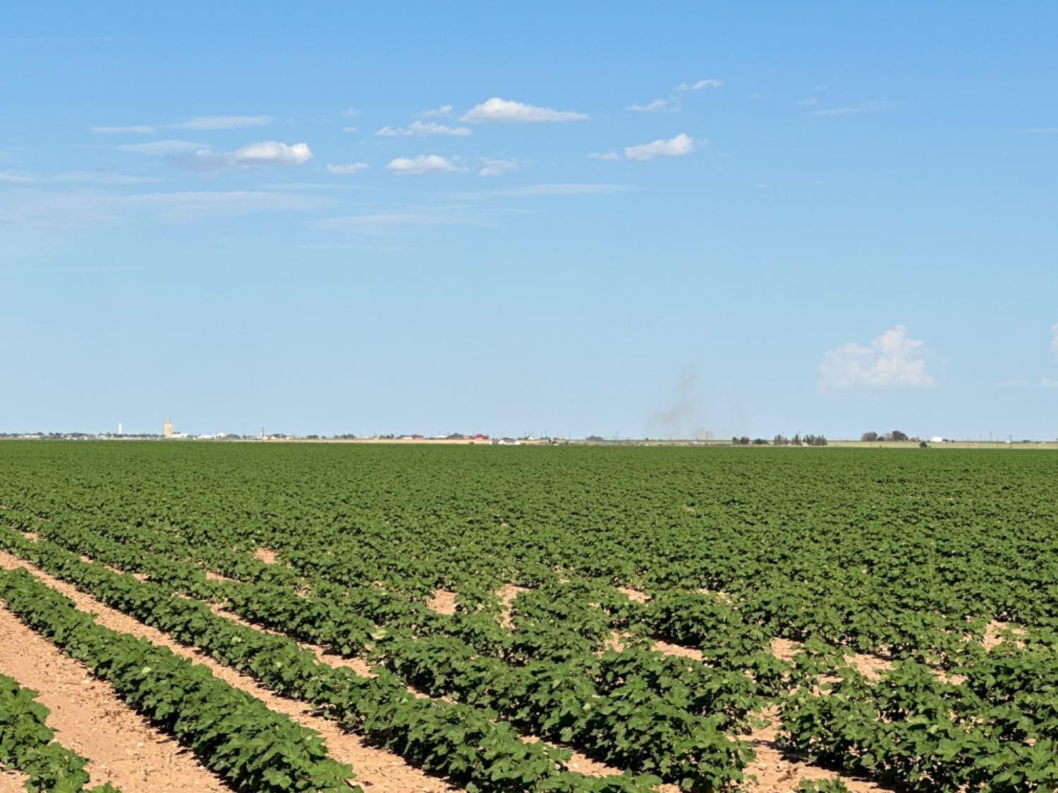 4083 Hawk Road Ropesville, TX 79358 - Photo 2 of 15 Photo 2