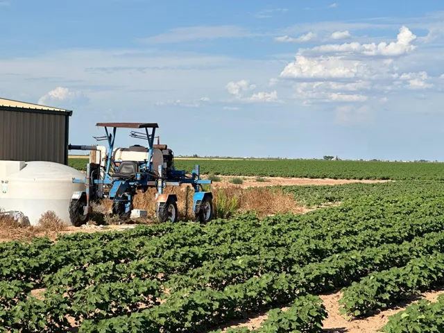 $905,000 | 4083 Hawk Road, Ropesville, TX 79358