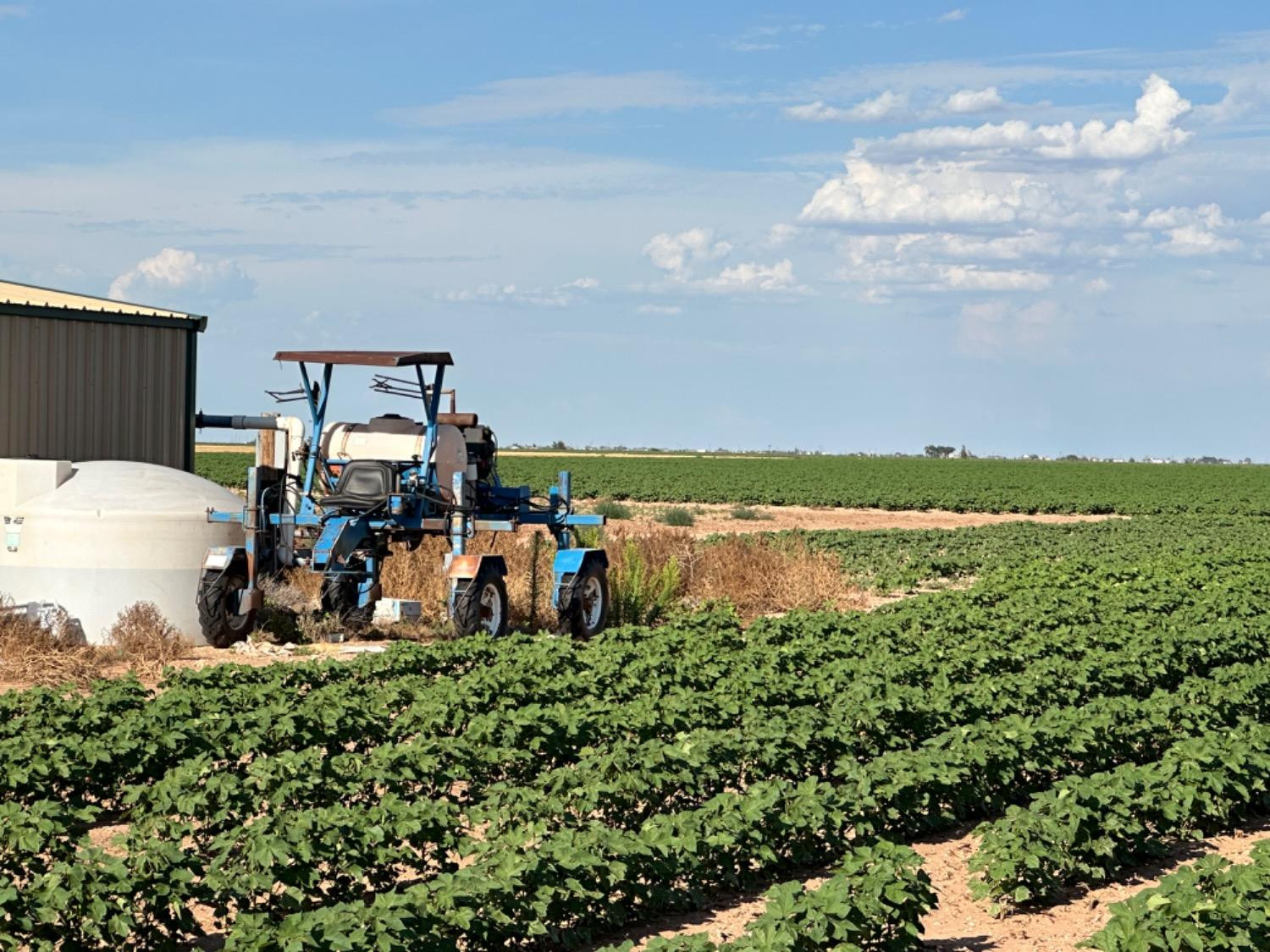 4083 Hawk Road Ropesville, TX 79358 - Photo 3 of 15 Photo 3