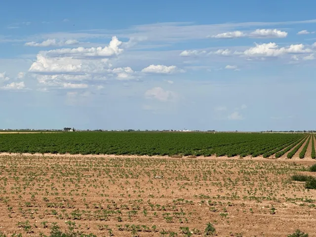 $905,000 | 4083 Hawk Road, Ropesville, TX 79358