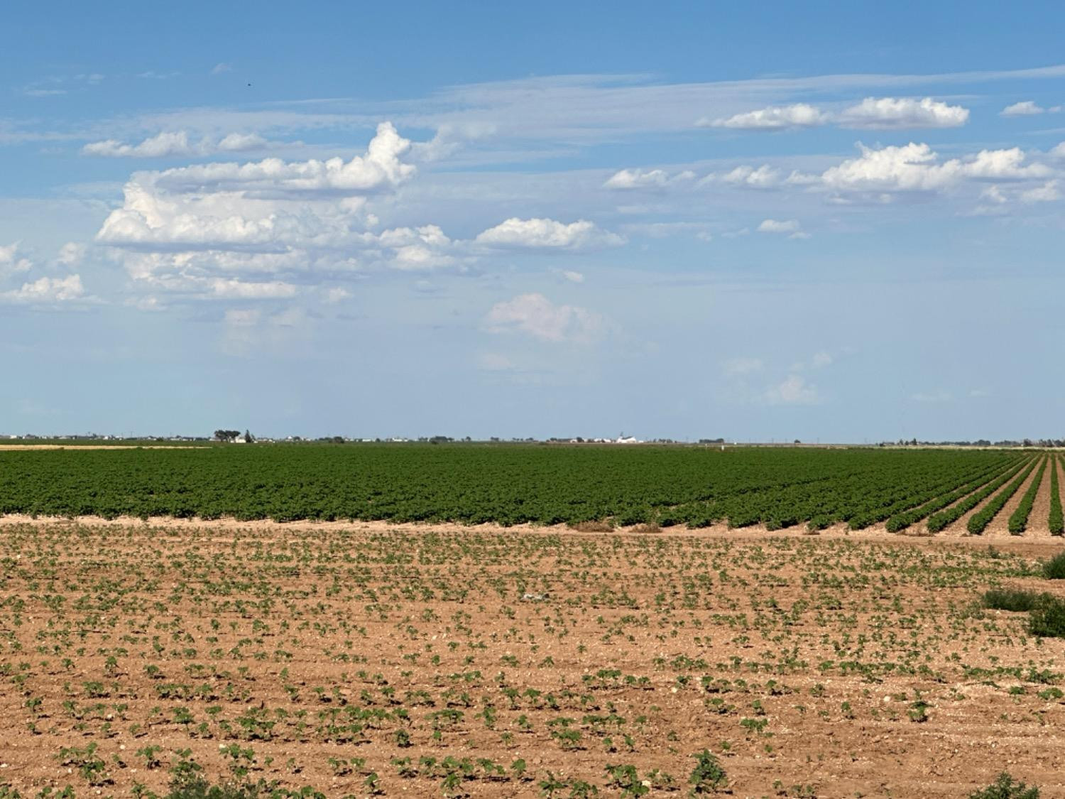 4083 Hawk Road Ropesville, TX 79358 - Photo 4 of 15 Photo 4