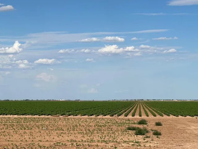 $905,000 | 4083 Hawk Road, Ropesville, TX 79358