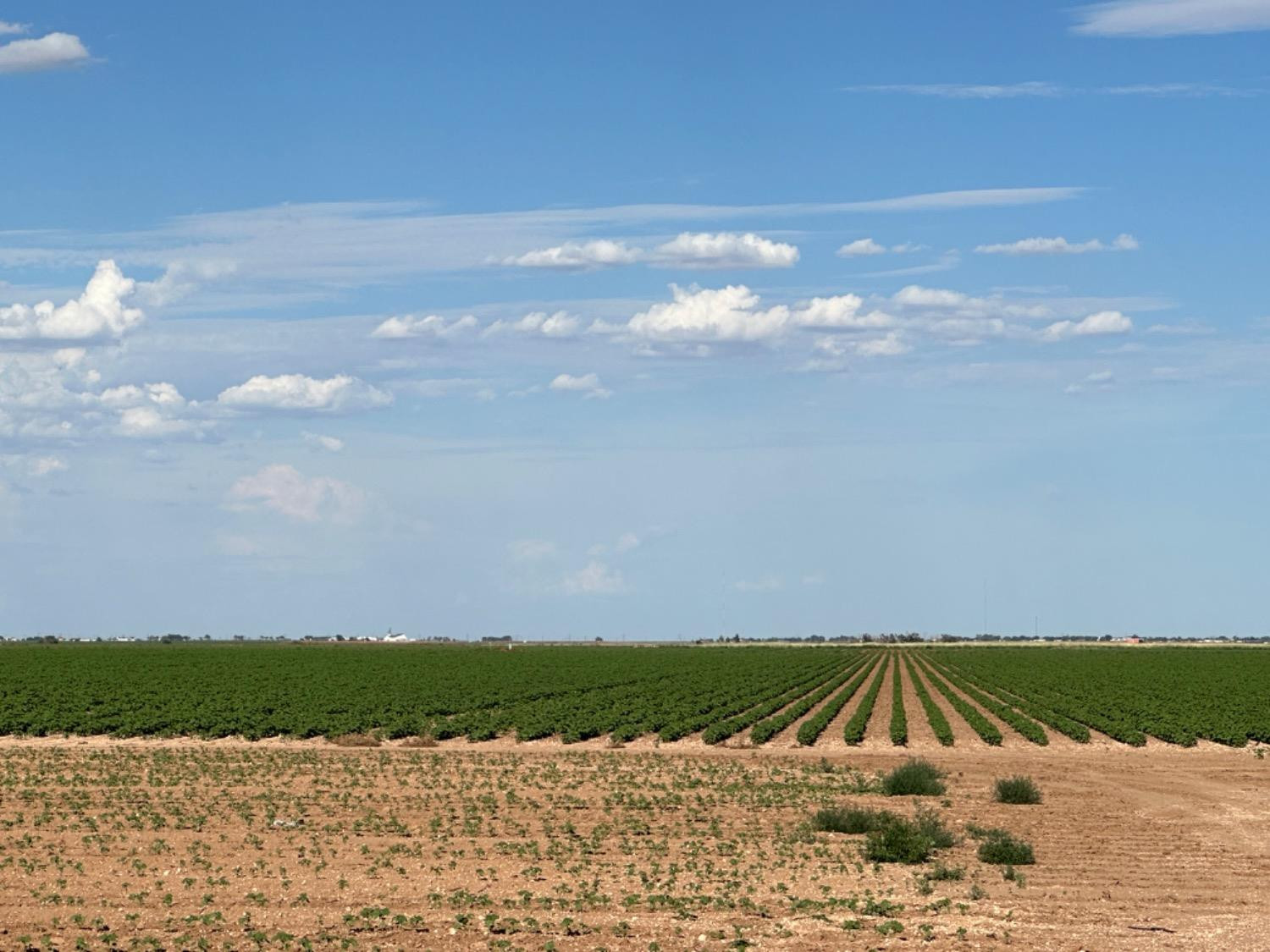 4083 Hawk Road Ropesville, TX 79358 - Photo 5 of 15 Photo 5