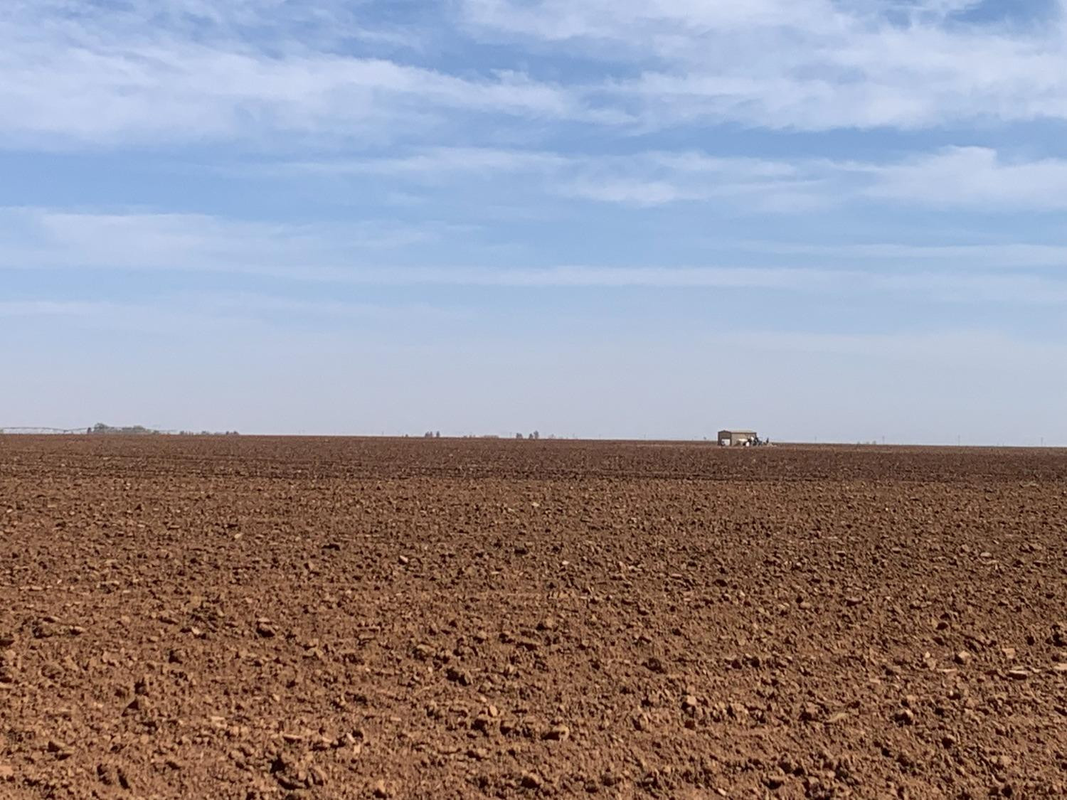 4083 Hawk Road Ropesville, TX 79358 - Photo 7 of 15 Photo 7