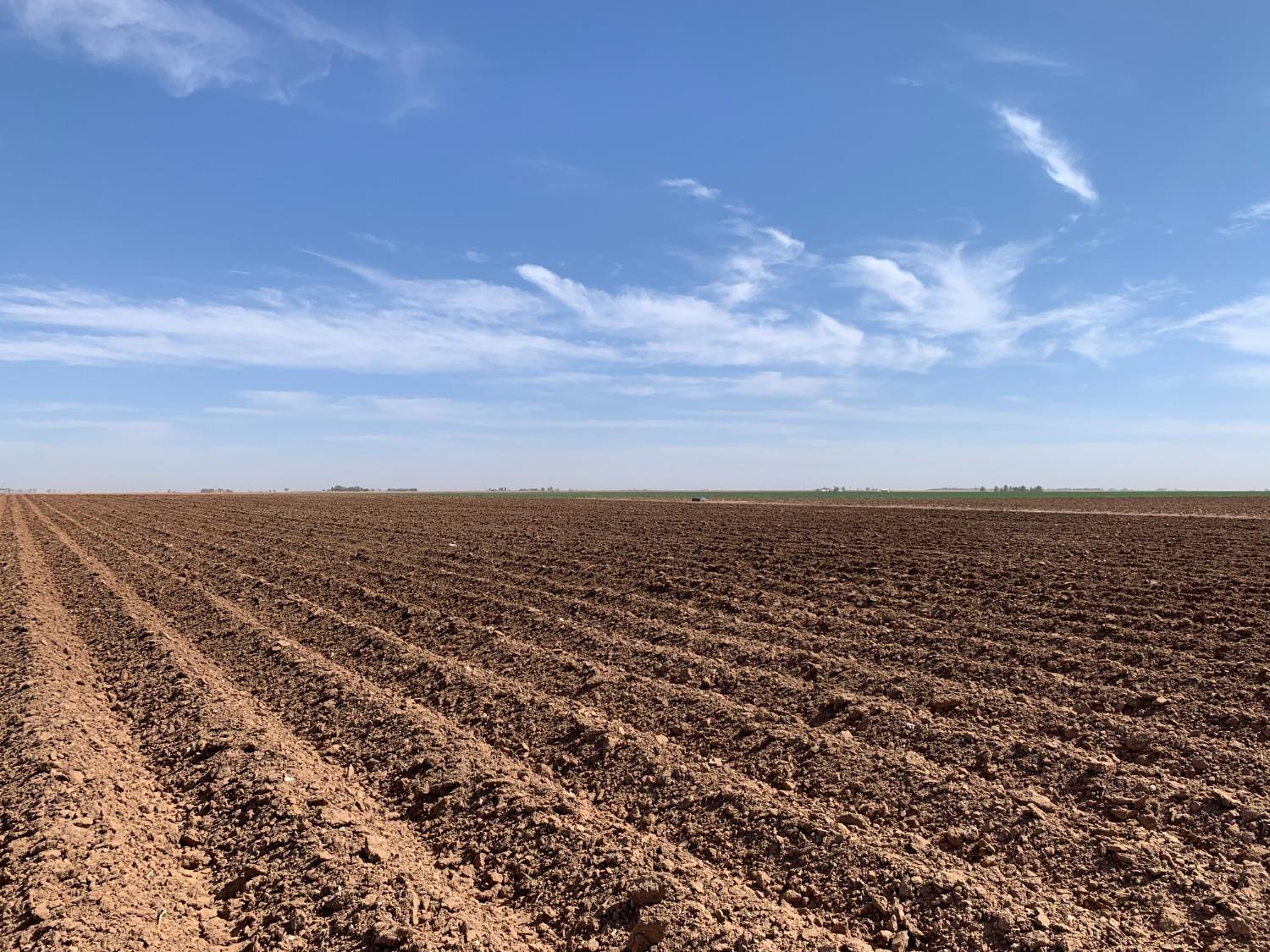 4083 Hawk Road Ropesville, TX 79358 - Photo 10 of 15 Photo 10