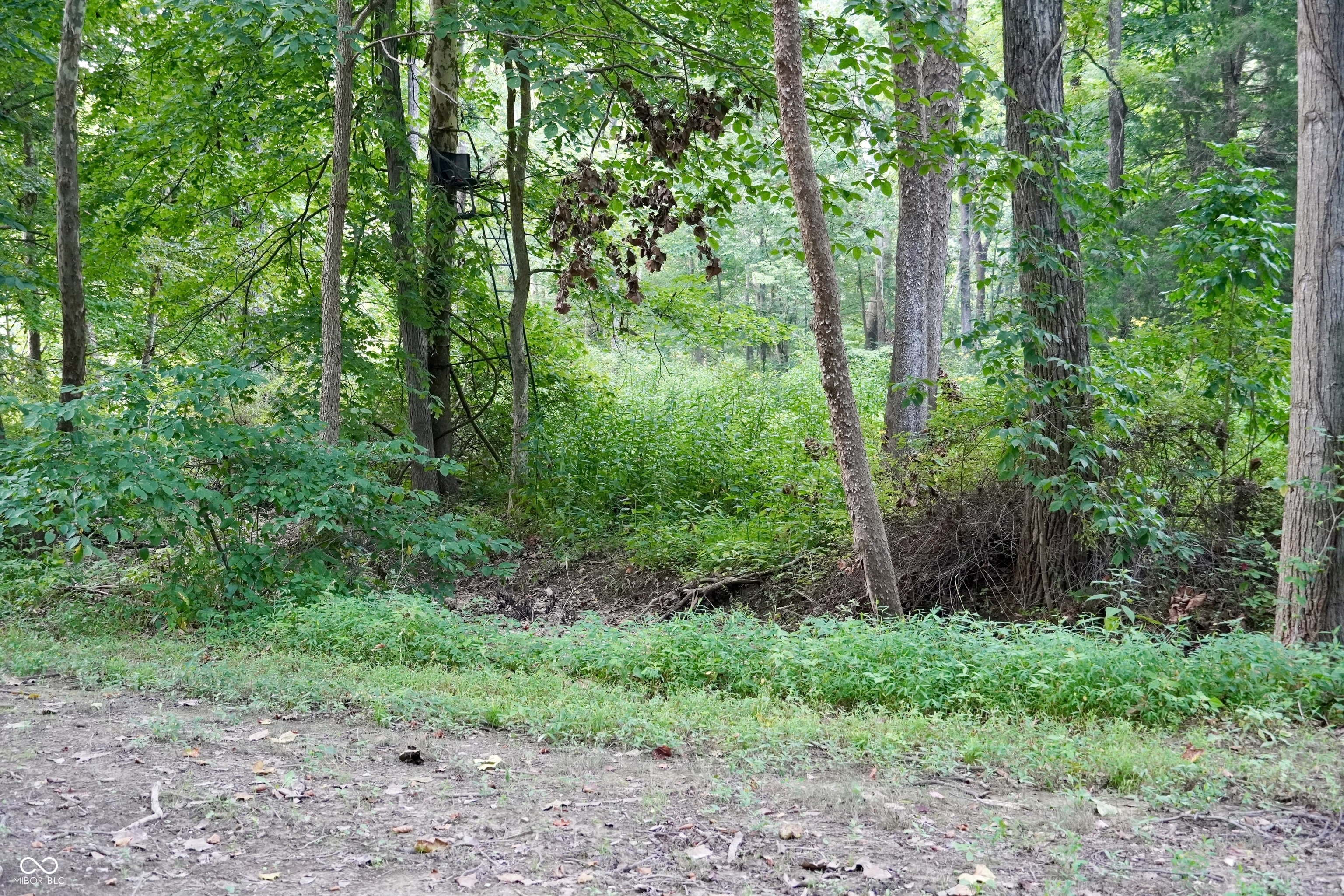 9830 Low Gap Road Martinsville, IN 46151 - Photo 142 of 192 Gallery Image 142