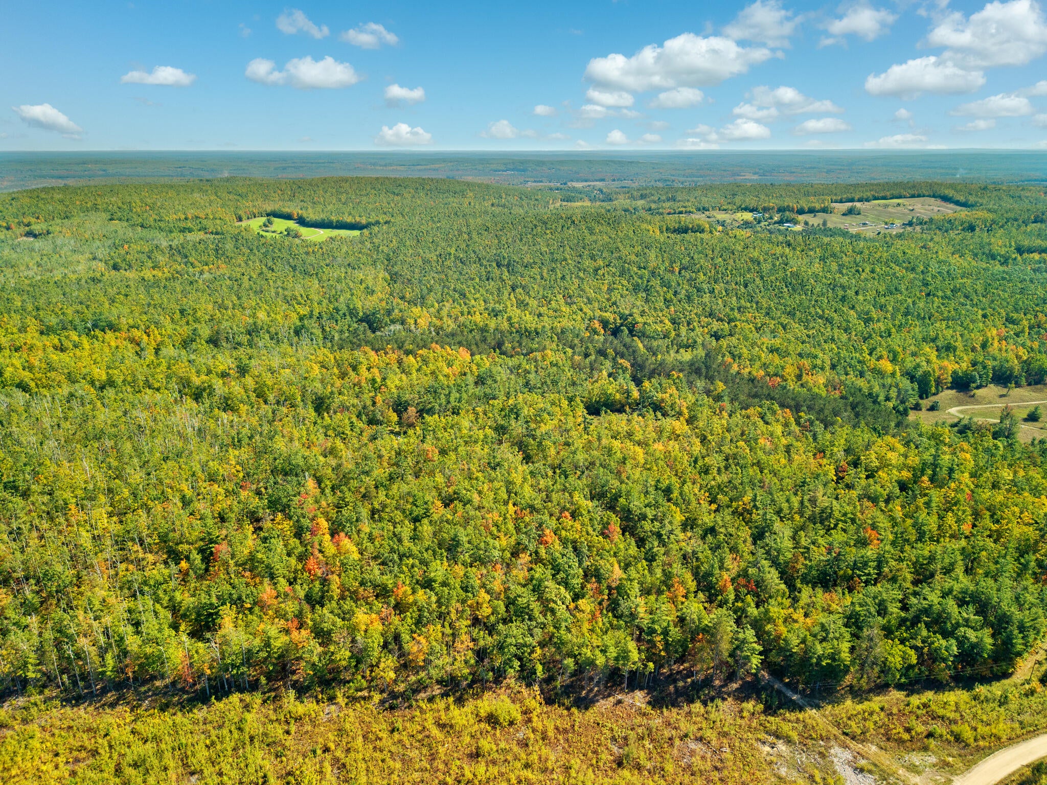 5351 Meaford Road Atlanta, MI 49709 - Photo 61 of 63 12-Photo-Sep-30-2025-12-30-07-PM-4