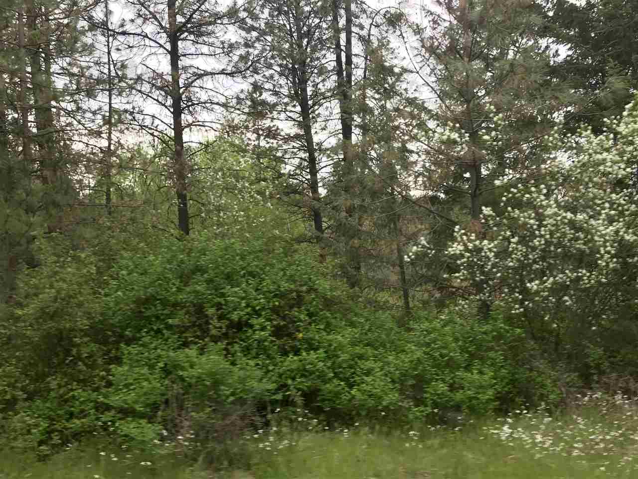 48315 Cougar Ridge East Ford, WA 99013 - Photo 2 of 13 Gallery Image 2