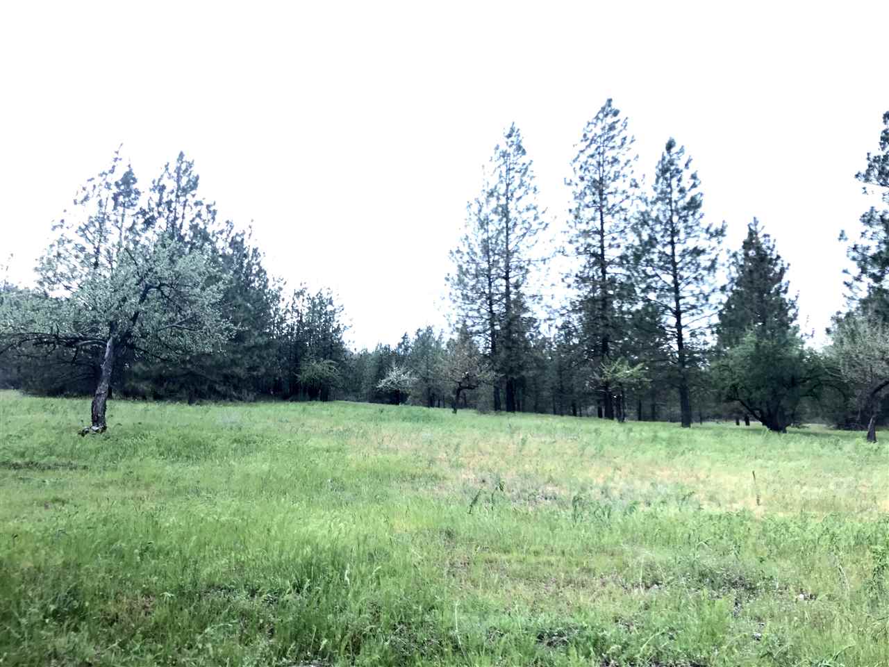 48315 Cougar Ridge East Ford, WA 99013 - Photo 3 of 13 Gallery Image 3