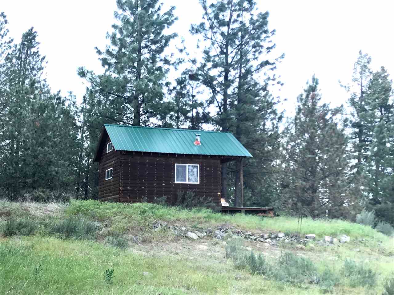 48315 Cougar Ridge East Ford, WA 99013 - Photo 4 of 13 Gallery Image 4