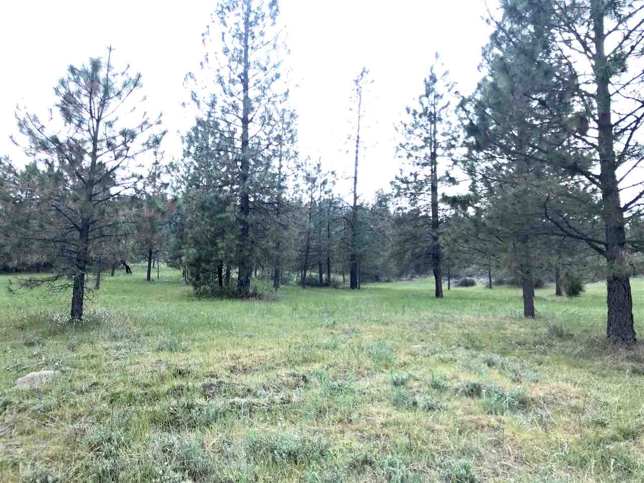 48315 Cougar Ridge East Ford, WA 99013 - Photo 9 of 13 Gallery Image 9
