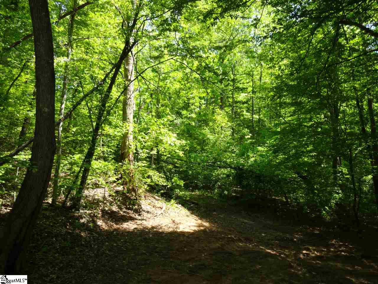 Sweet Gum Valley Road Travelers Rest, SC 29690 - Photo 10 of 25 Gallery Image 10
