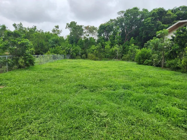 a view of a grassy field with trees in the background