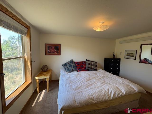 12299 Rd G Cortez, CO 81321 - Photo 29 of 44 a bedroom with a bed and a large window